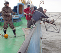 Photo of scientists deploying an apparatus to take sonar measurements from the seafloor.