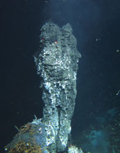 Photo of a hydrothermal sulfide spire on the Juan de Fuca Ridge in the Pacific Ocean.