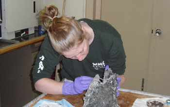 Photo of Helene Ver Eecke with a hydrothermal vent sample aboard the ship Atlantis.