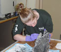 Photo of Helene Ver Eecke with a hydrothermal vent sample aboard the ship Atlantis.