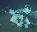 Photo showing cores retrieving deep-ocean methane-seep sediment beneath white bacterial mats.