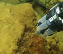 instrument collecting microbial mat samples from the seamount's iron-oxidizing bacteria