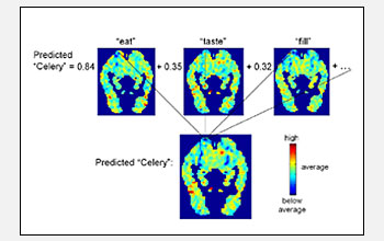 Predicted and actual fMRI scans of the brain focusing on brain activity associated with words.