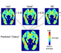 Predicted and actual fMRI scans of the brain focusing on brain activity associated with words.