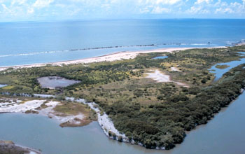 the coastline of Louisiana.