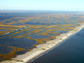 Aerial photo of Gulf wetlands.