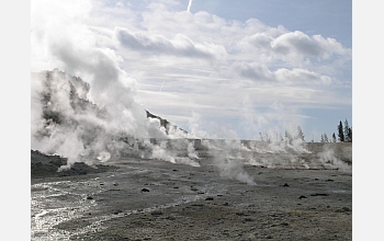 Thermal features in Yellowstone's Crater Hills Basin, where some of the studies were conducted.