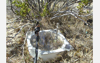 A close-up of a nitrogen measurement lid under a shrub common in the Mojave Desert.