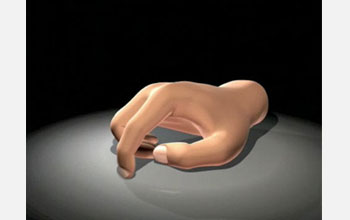 Animation of a human finger performing a rubbing task requiring fingertip motion control and force.