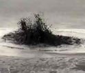 An erupting mud volcano contrasts with a quiet brine pool.