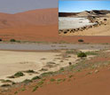 Photo of a pan, or closed basin, in Namibia filled with water and an inset showing a dry pan.