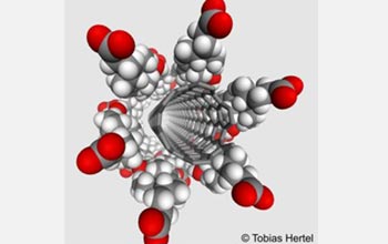 ball and stick model of sodium cholate suspended carbon nanotube.