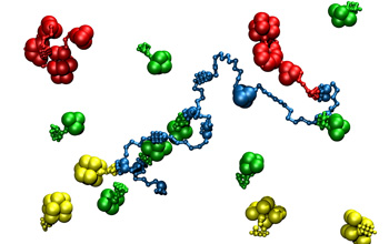 A model of a bacteria's cellulose-digesting system.