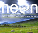 Graphic illustration showing the NEON logo and a grreen field