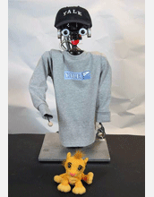 Nico, a humanoid robot.