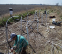 Photo of an Illinois denitrifying bioreactor.