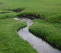 Photo of a stream in Kalamazoo, Michigan.