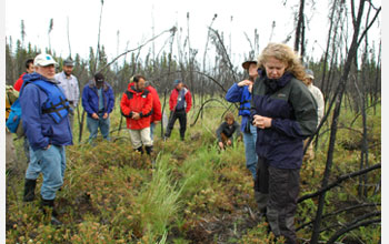 Photo of people exploring a forest burn site.