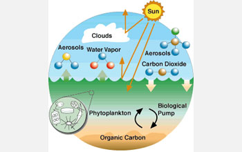 Illustration showing chemical exchange between the atmosphere and ocean.