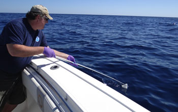 Researcher Robert Nelson samples the sheens using a telescoping rod with a screen.