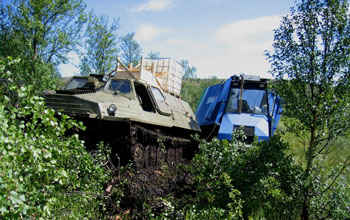 Photo of military-based trucks used as transport around the Greenstone Belt.