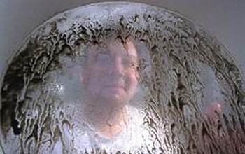 Photo of a researcher behind a screen with oyster larvae.