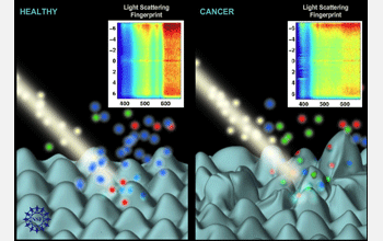 Illustration showing how light bouncing off human tissue can be used to detect potential cancer
