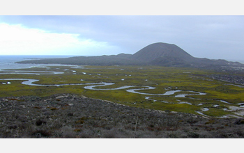 Photo of an estuary and surrounding salt marsh.