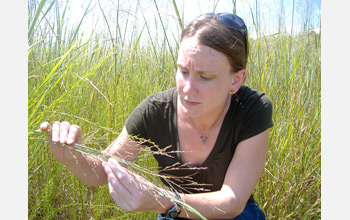 Photo of University of Michigan's Shelie Miller, one of the 2009 PECASE awardees.