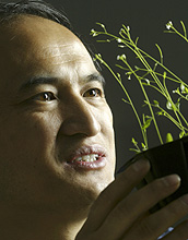 Photo of Zhen-Ming Pei and a mustard plant