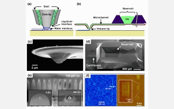 This slide highlights the components and features of the nanofountain probe (NFP)