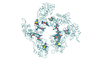 Models of the CA region of Gag molecule reveal specific sets of atoms involved in bundle formation