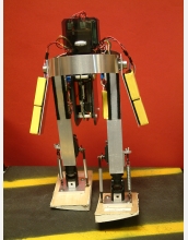 The MIT passive-dynamics powered robot.