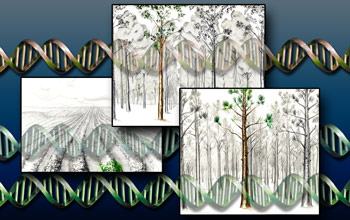 NSF made 19 new plant genome awards in 2005