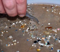 Photo showing hand-picking of plastic pieces millimeters in size.