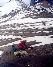 Remains of the juvenile plesiosaur were exacavated from this Vega Island excavation site.