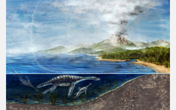 Artist's depiction of mother and juvenile plesiosaur, swimming in the Southern Ocean