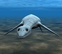 This animation shows how the juvenile plesiosaur might have appeared.