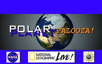 Polar-Palooza logos