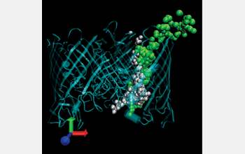 Particle simulation results for the trajectories of potassium (green) and chlorine (grey) ions