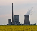 power plant with a filed of flowers in front