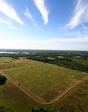 Mixed prairie grasses have emerged as a leader in the quest to produce biofuels.