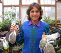 Photo of Nalini Nadkarni of Evergreen State College at Cedar Creek.