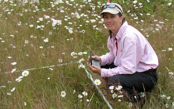Scientist Elizabeth Borer sampling species at a wildlife reserve.