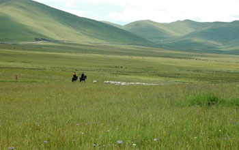 Grasslands in China.