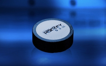 NHL hockey puck