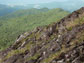 Phot of the mountain peak El Yunque