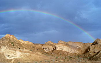 A rainbow after a rare shower in the Qaidam Basin on the Tibetan Plateau