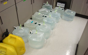Photo showing plastic containers filled with seawater from the central Pacific ocean.