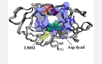 Computational simulation of the HIV-1 protease